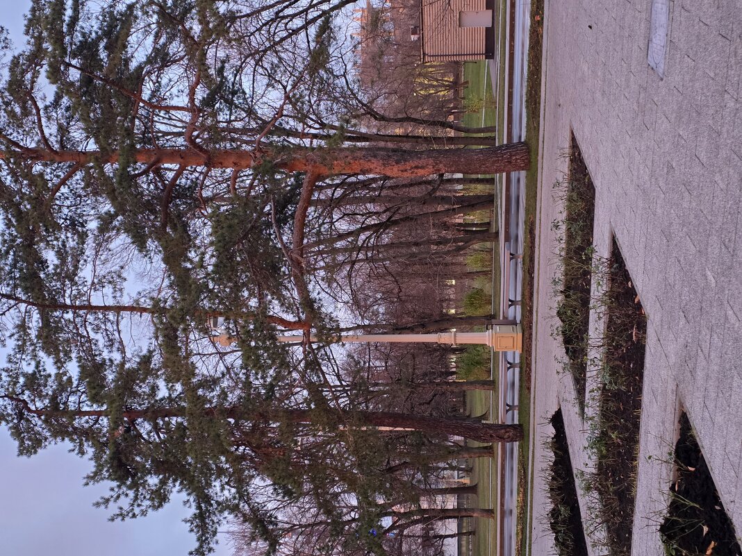 Утро на ВДНХ - Алексей Домрин