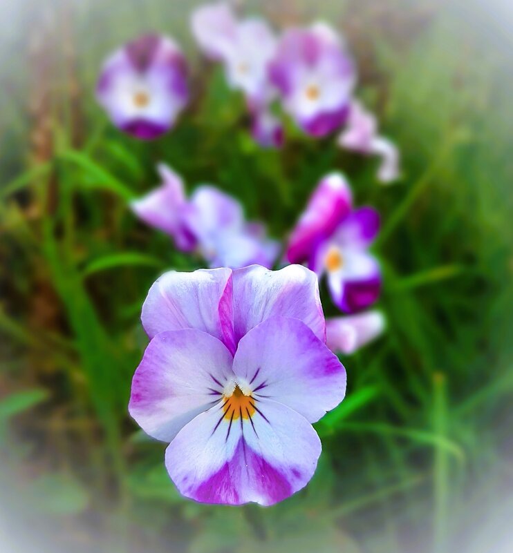 ♥ - Ирина Via