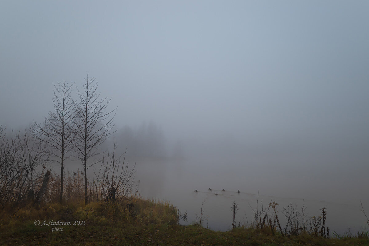 Река в тумане - Александр Синдерёв