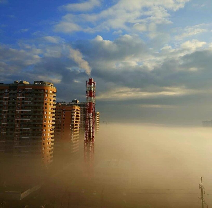 Туманное утро - Екатерина Леш