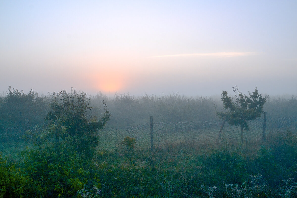 осень в саду - Genych Bartkus