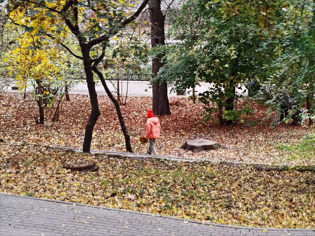 Собрать букетик из осенних листьев! - Надежда 