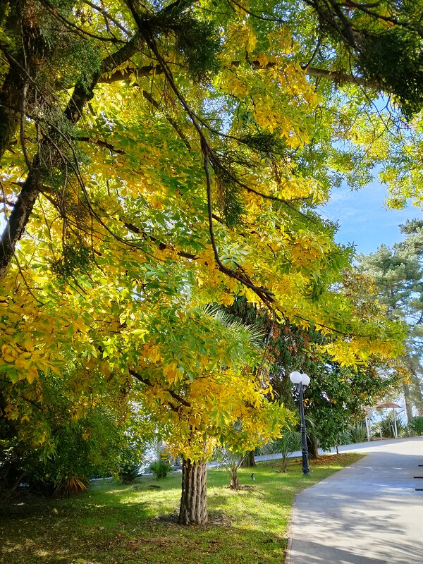 ПРИМОРСКИЙ ПАРК - Tata Wolf