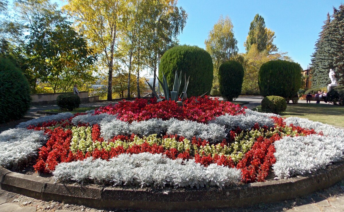 Цветы и клумбы Кисловодска - Galina Solovova