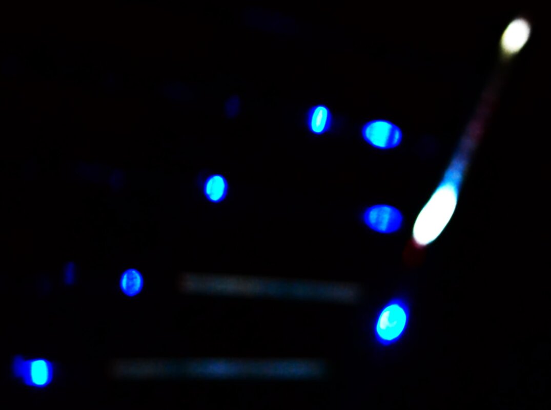 * - Василий Палий