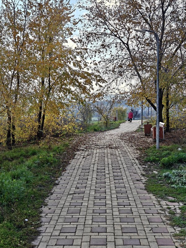 Ростовские зарисовки - Александр Гапоненко