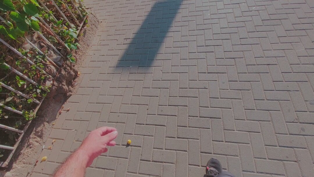 13  ОПЕН (645) - OPEN WAYS ALL