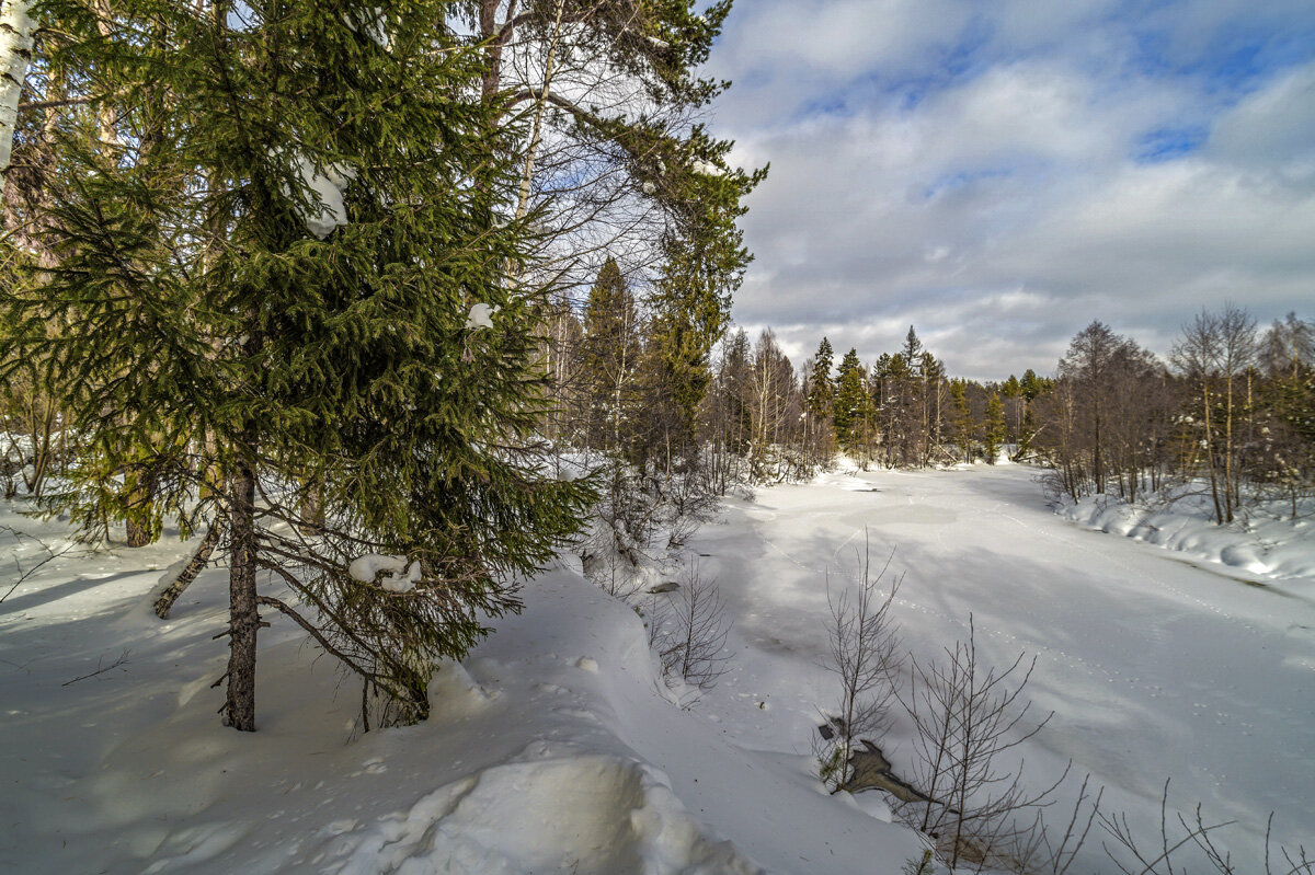 Зимний . - Александр Иванович Шитов