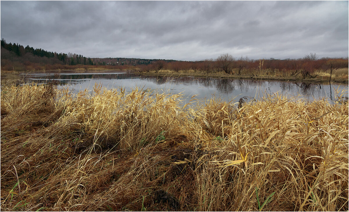 Картинка поздней осени - Валентин Котляров