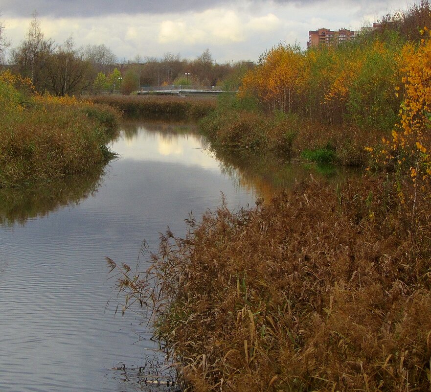 ..   р. Яуза с любимого ракурса.. - galalog galalog