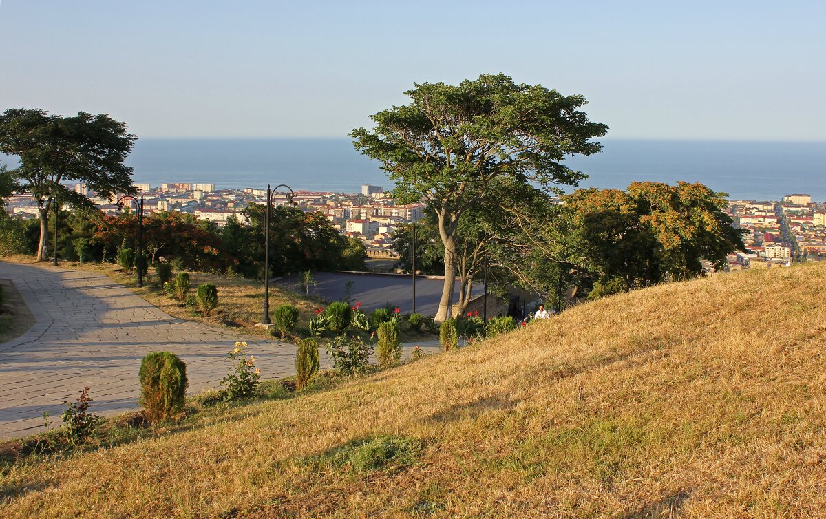 Узел - Владимир Соколов (svladmir)