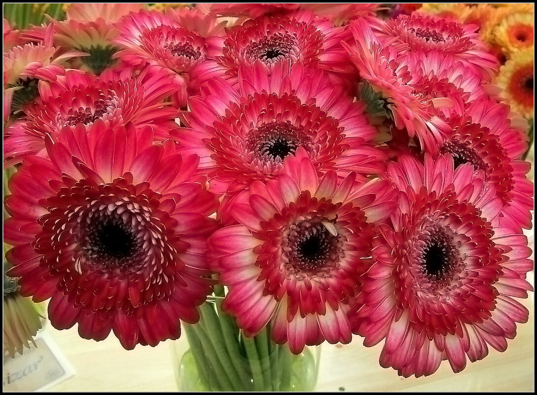 Букет гербер - Ольга Довженко