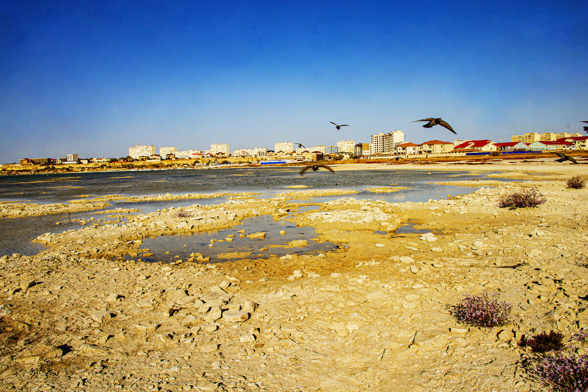 Ворона - Анатолий Чикчирный Ворона - Анатолий Чикчирный