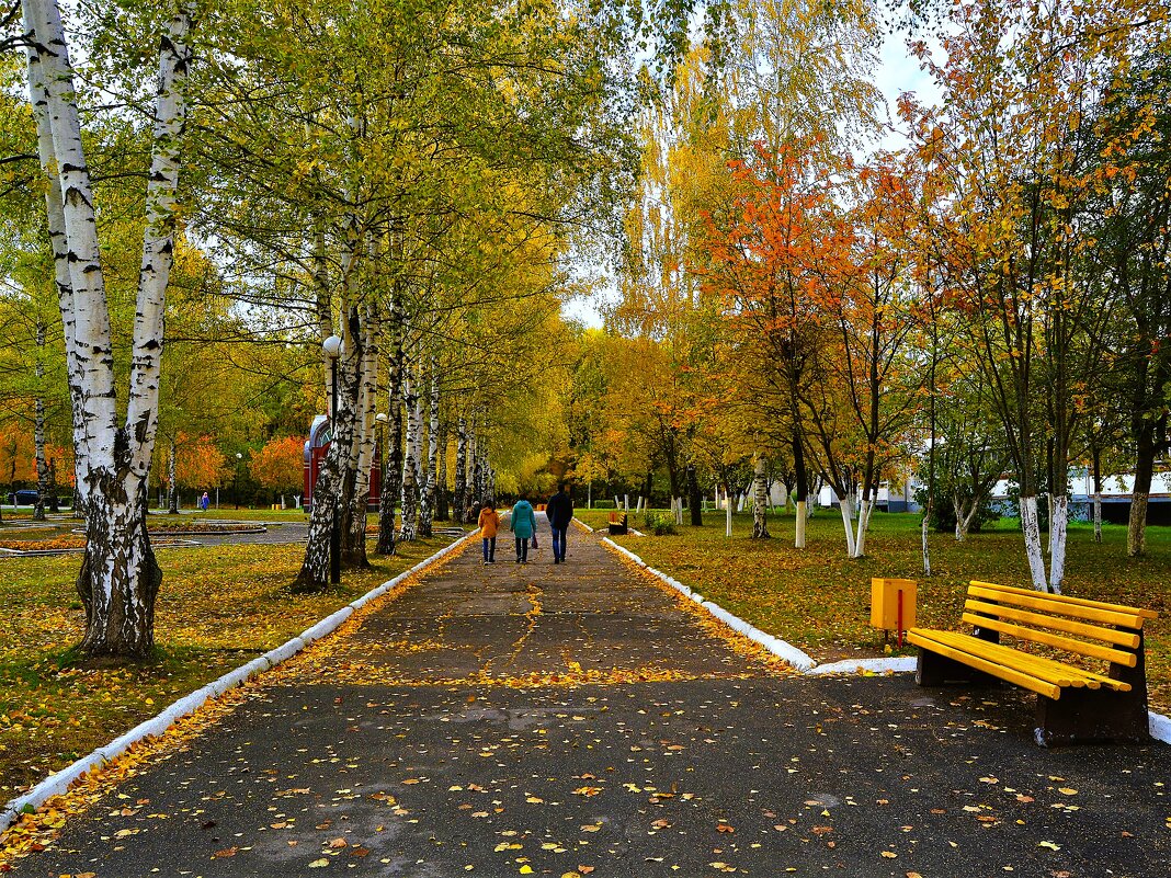 Новочебоксарск. Осень на бульваре Гидростроителей. - Пётр Чернега