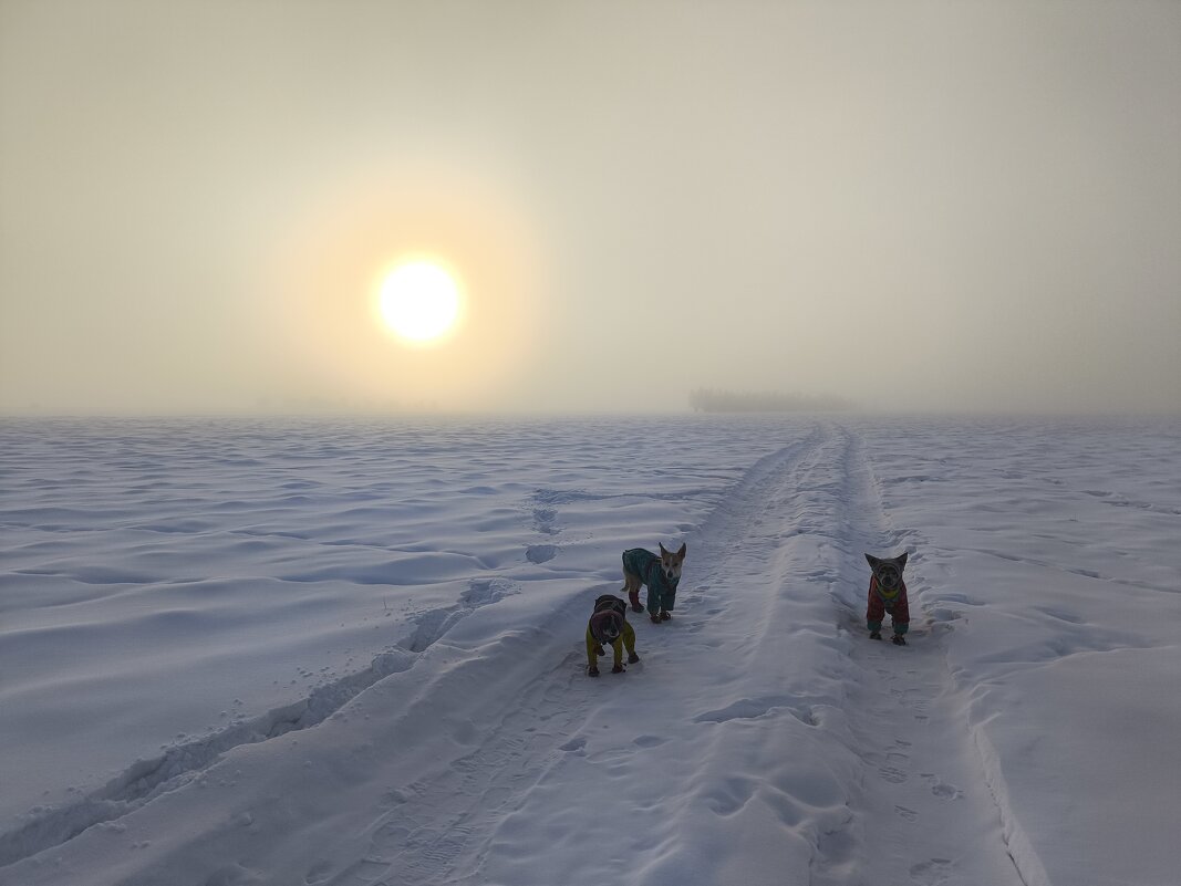 Мороз - Anna Ivanova