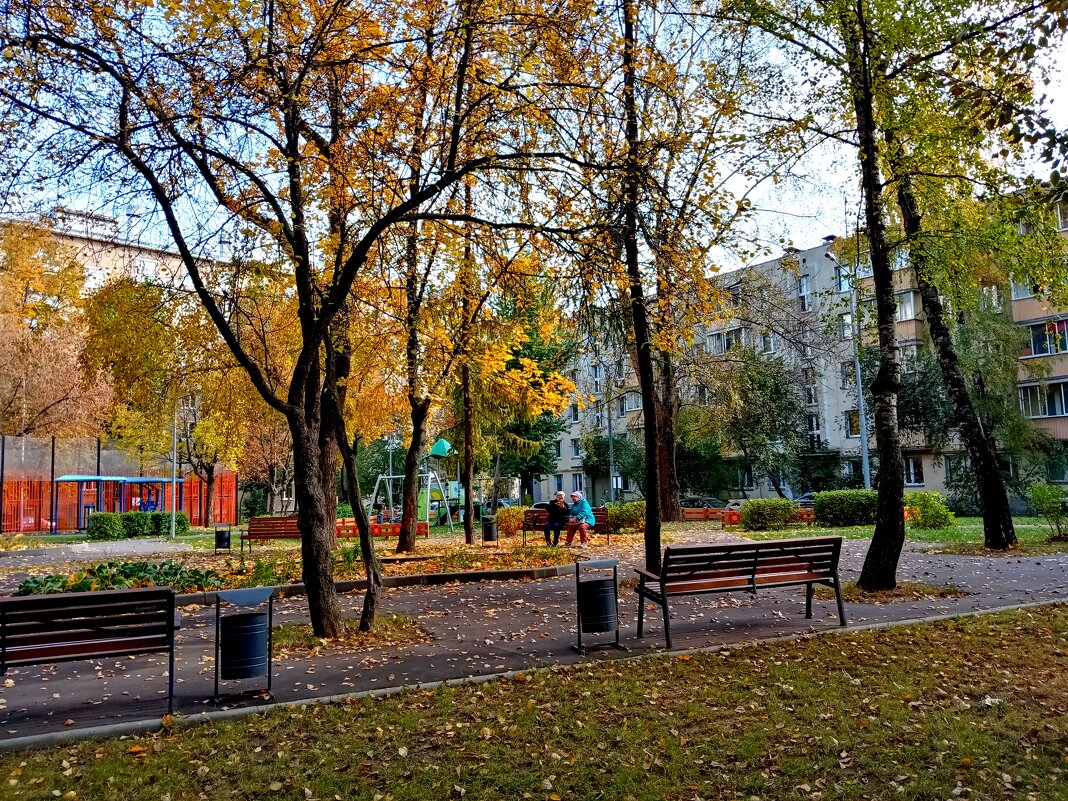 Осень. - Владимир Драгунский