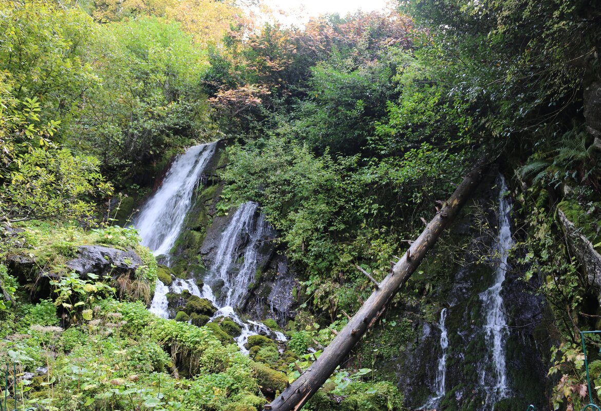 Водопады озера Рица - Ольга 