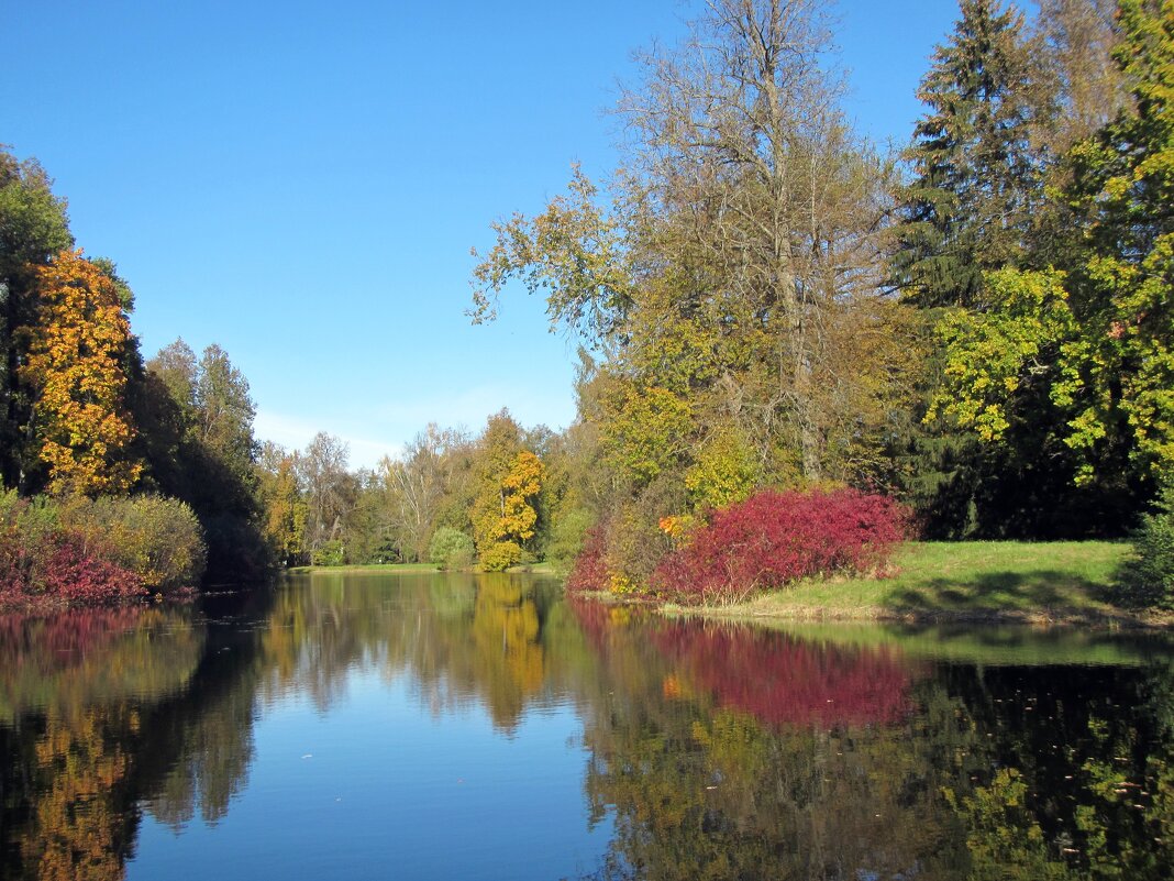 Осенняя пора - dli1953 