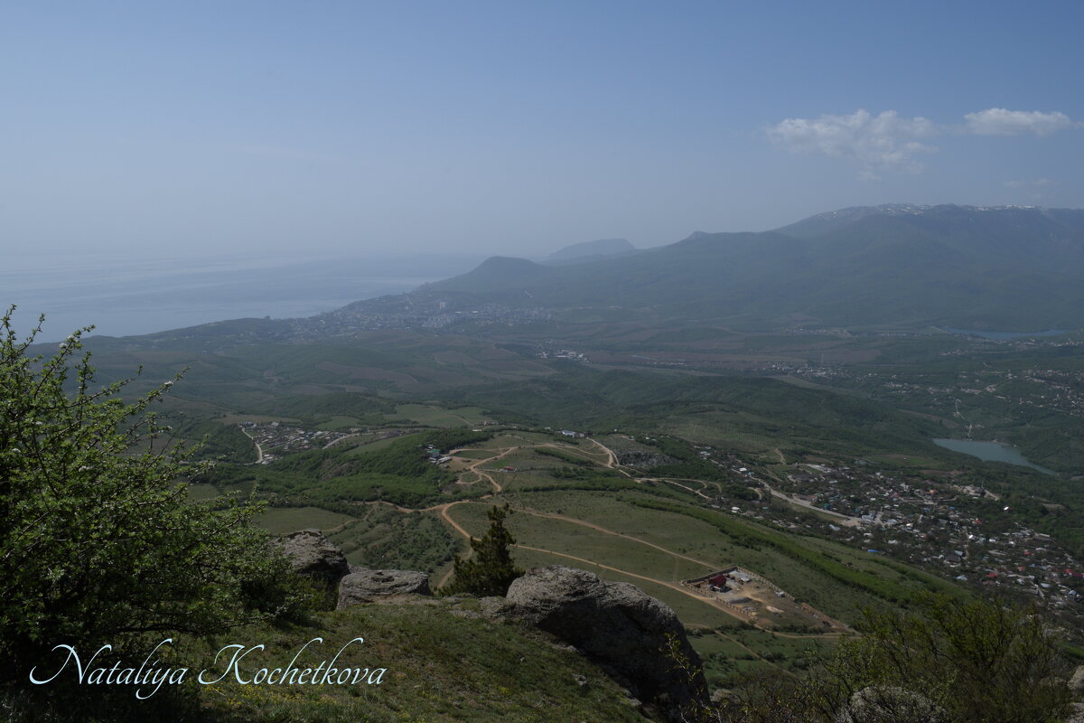 Природа Крыма - Amazing Cosmea