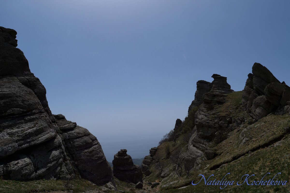 Природа Крыма - Amazing Cosmea