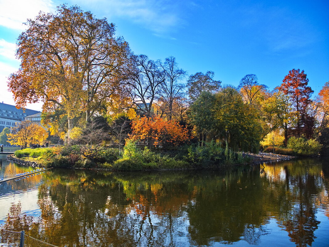 *** - Witalij Löwin