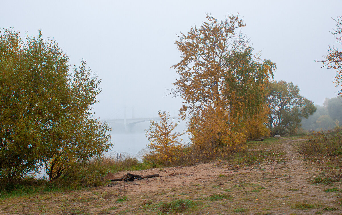 берег р. Волга - Владимир Зеленцов