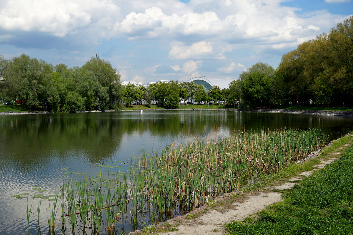 Пруд Садки - Игорь Белоногов