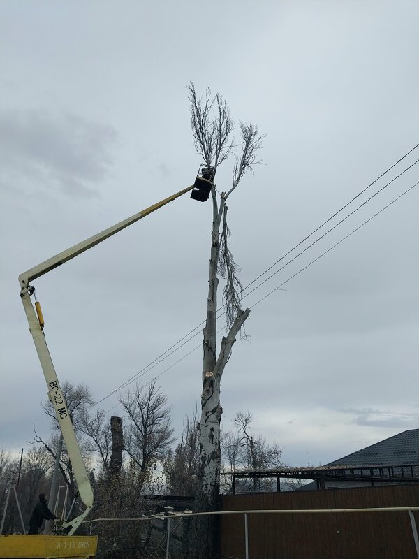 Talgar. - Murat Bukaev 