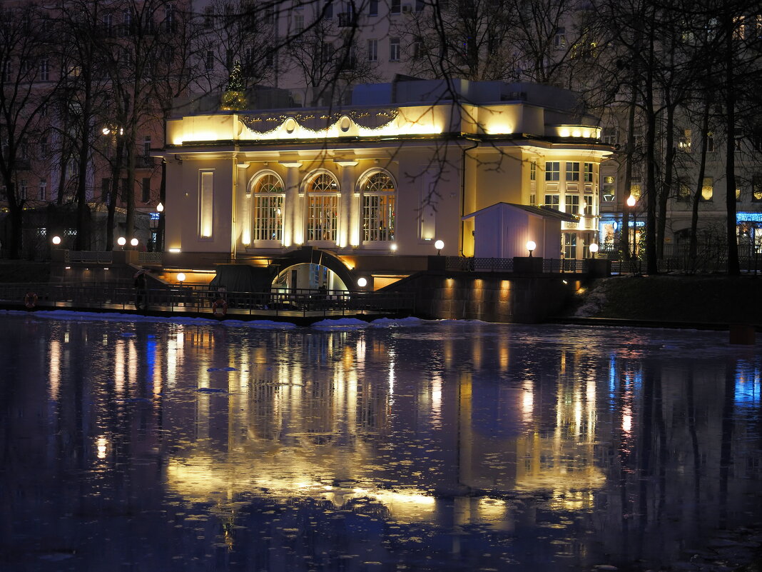 Дождливая зима 2025 на Патриарших прудах. (11.01.25) - Евгений Седов