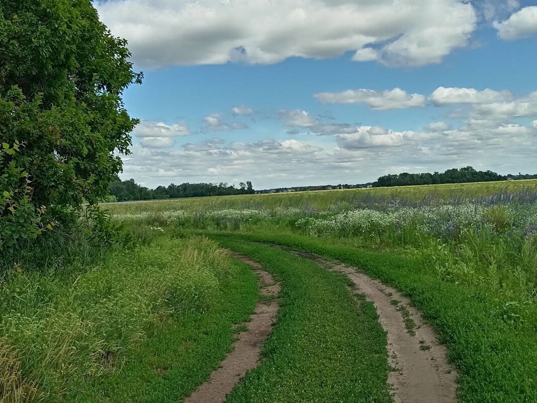 Самарские просторы - Надежда 