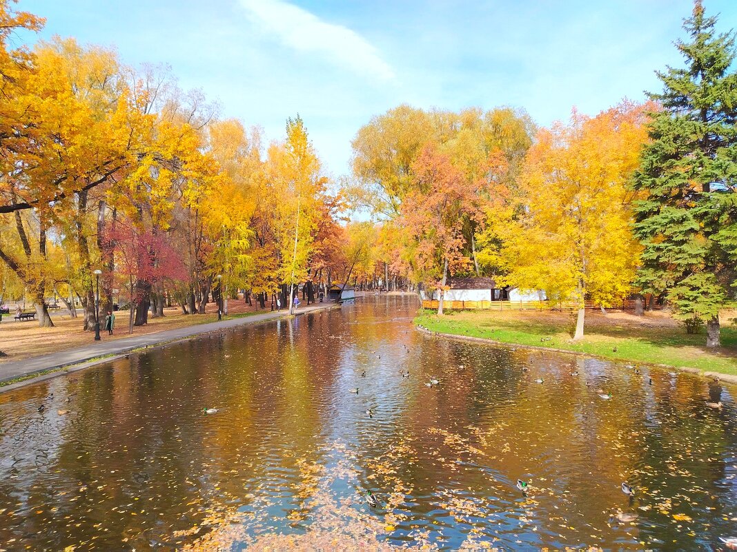 Вот и ушла золотая осень! - Надежда 