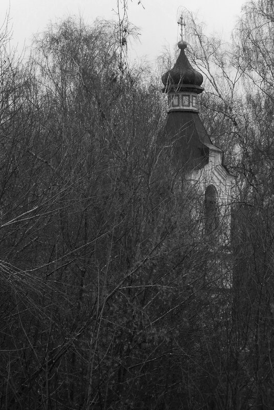 *** - Сергей Сергеев