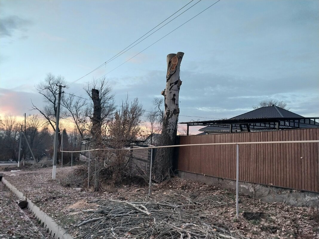 Talgar. - Murat Bukaev 