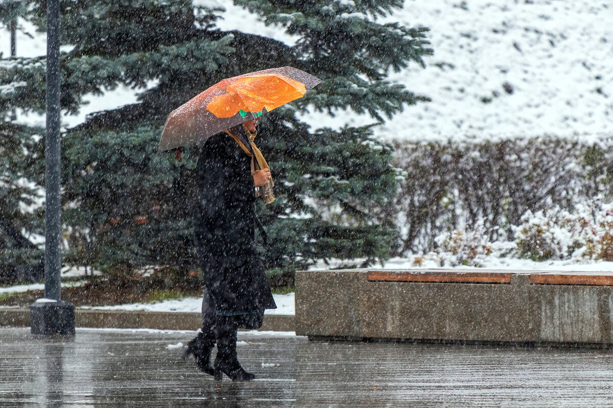 *** - Анатолий. Chesnavik. *** - Анатолий. Chesnavik.