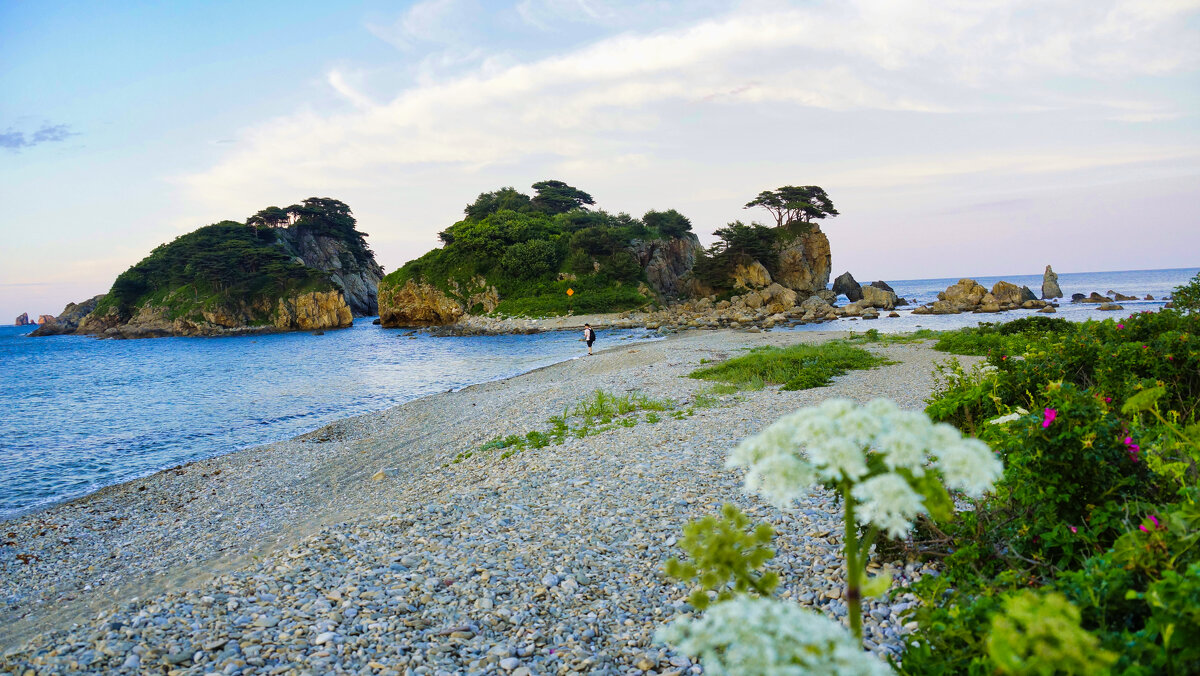 Приморье - Татьяна Маркова