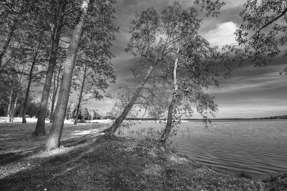 НА БЕРЕГУ. - Николай 