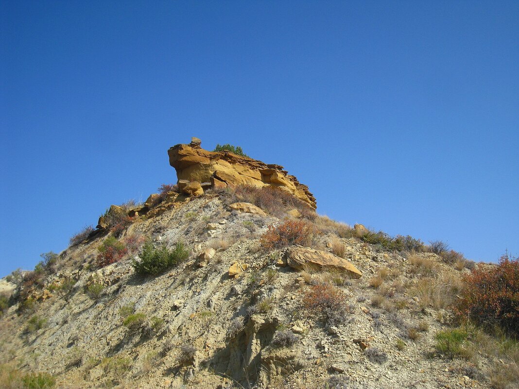 Царевна-лягушка. - unix (Илья Утропов)