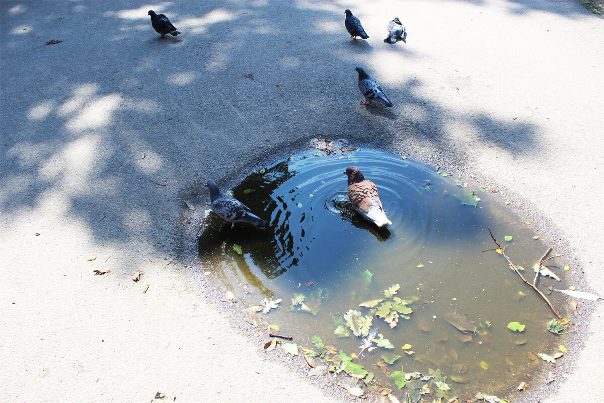 водные процедуры - Любовь ***