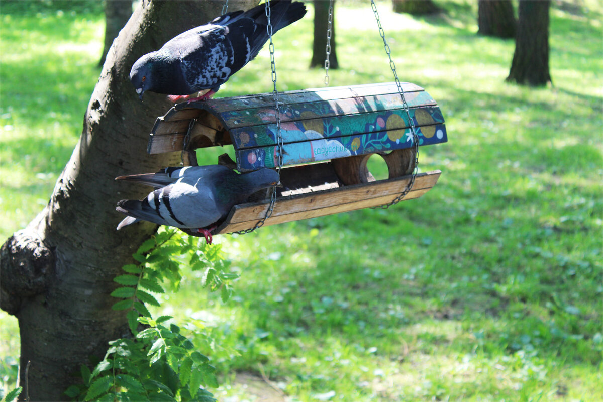 время обеда - Любовь ***