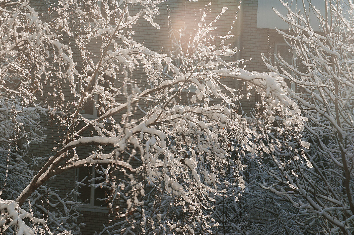 Ноябрьская зима - Светлана Никитина