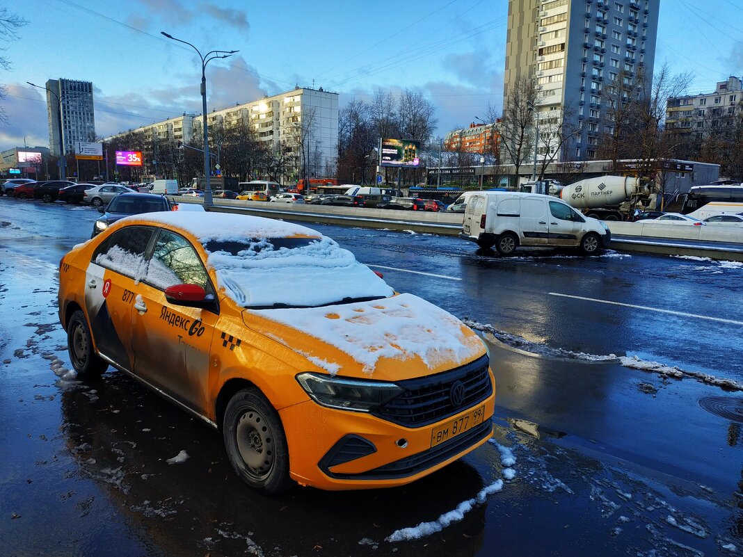 Предзимье в городе (фотодневник не юного натуралиста) - Андрей Лукьянов