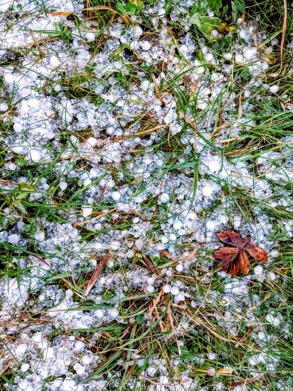 Град на траве - Veera V