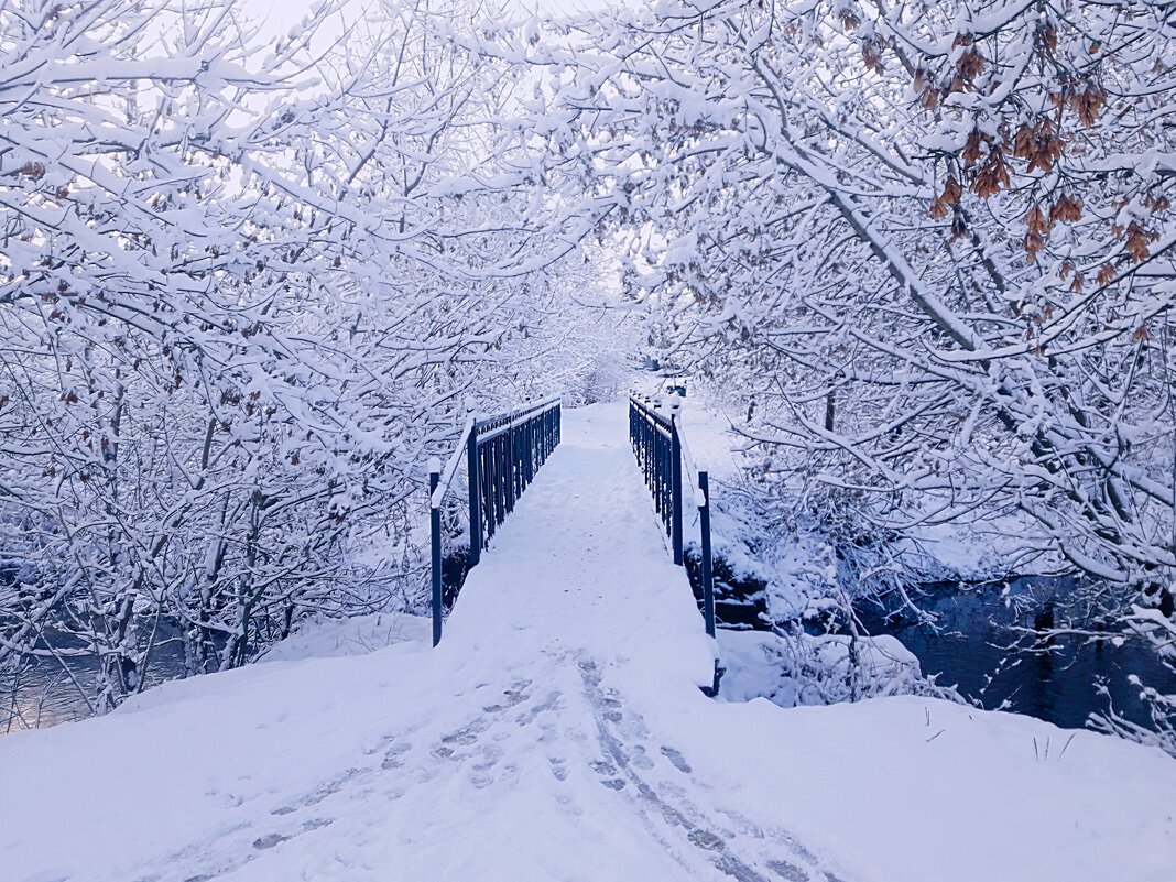 Начало зимы - Сергей Кочнев