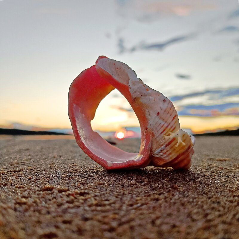 Ракушка и закат... - Ирина *