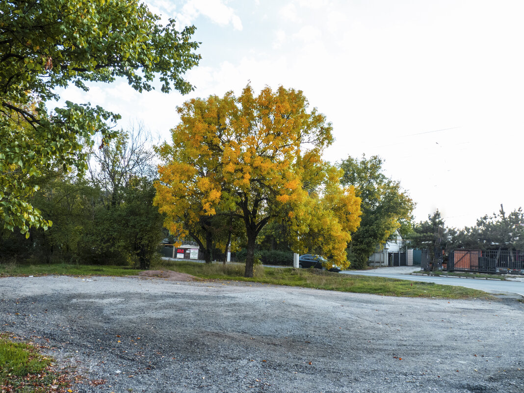 Природа  Крыма - Валентин Семчишин