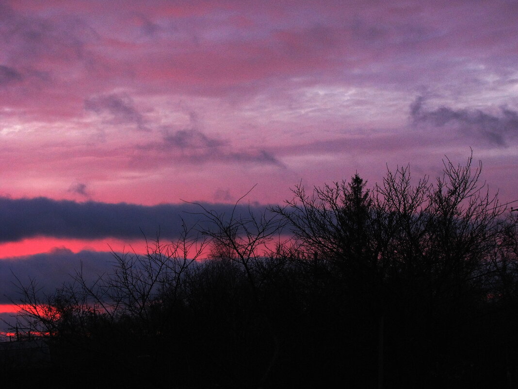 Розовое утро - Людмила Смородинская