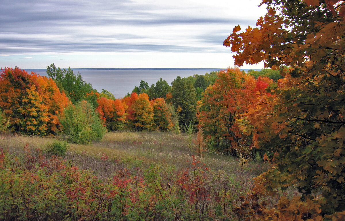 Клены над Камой - **** vedin