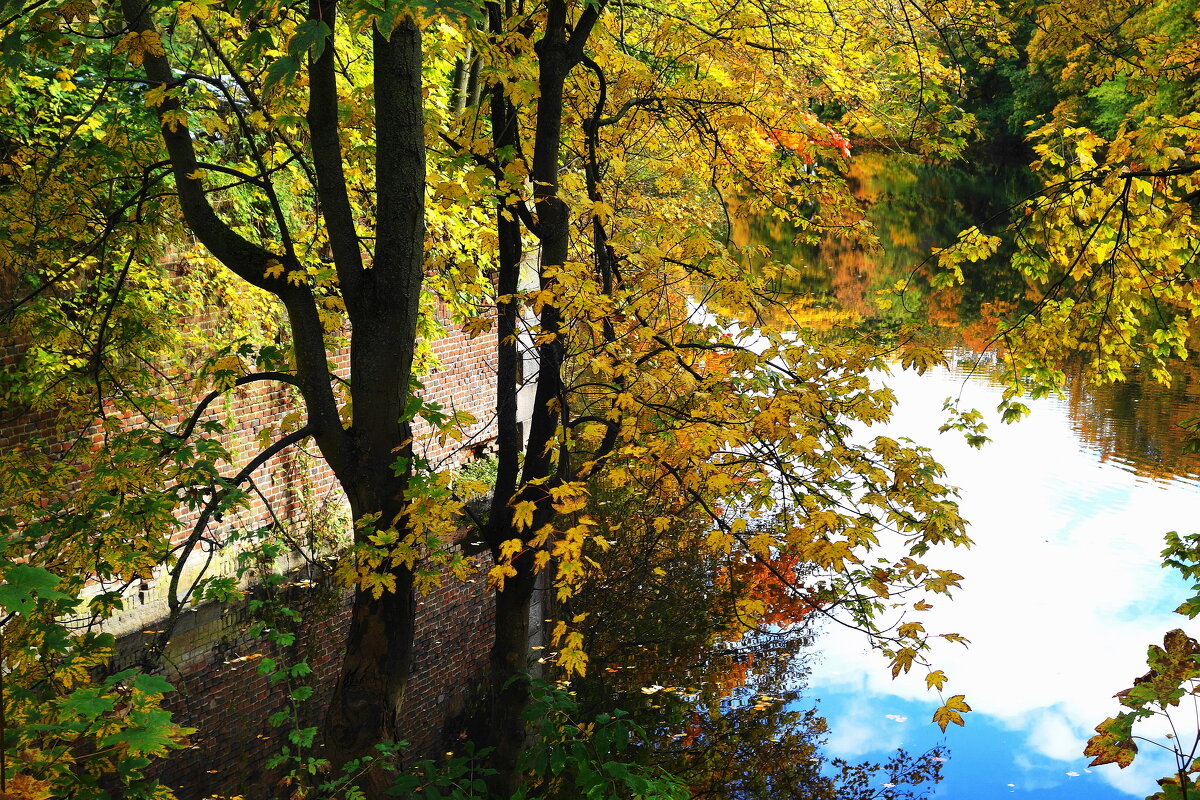 Картинки осени - Рита Симонова