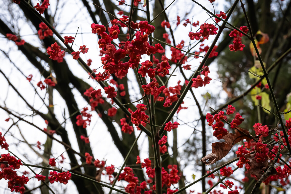 Осень - Валерий Пославский