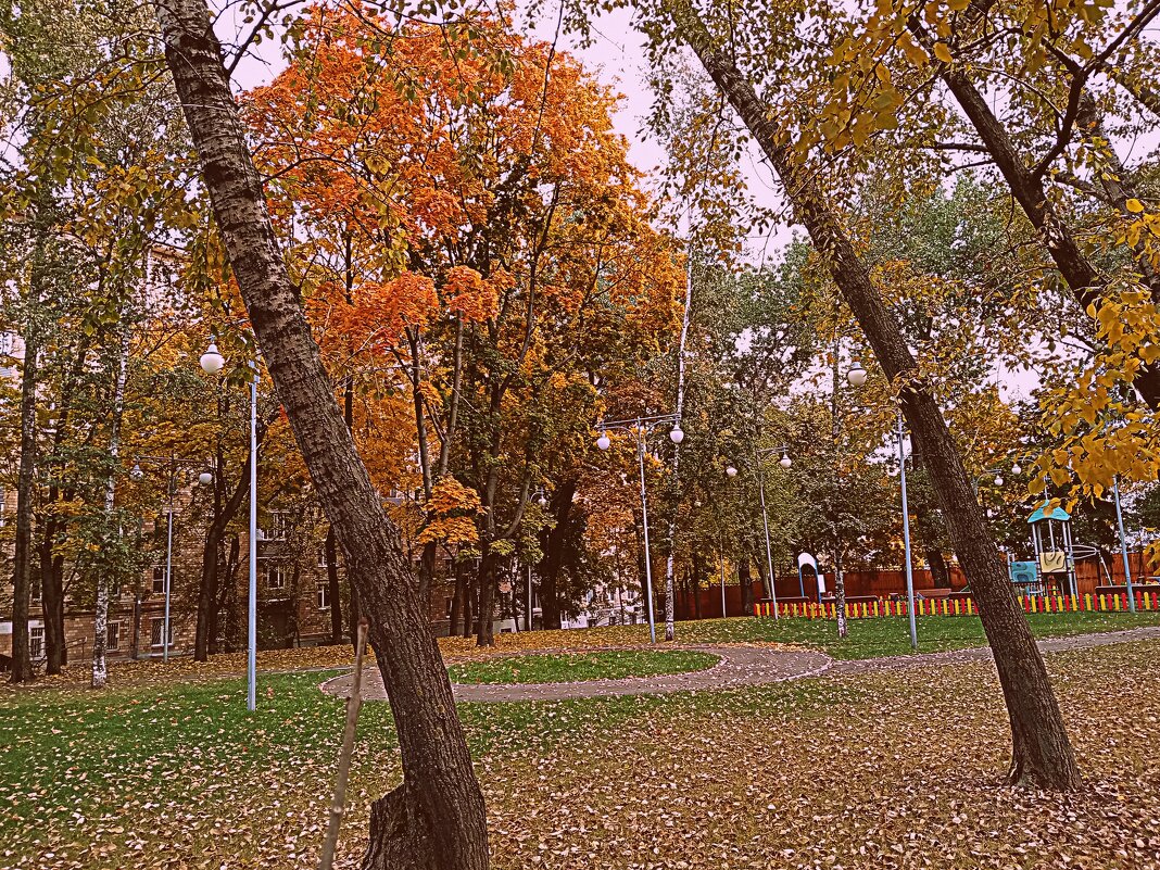 Осень. - Владимир Драгунский Осень. - Владимир Драгунский